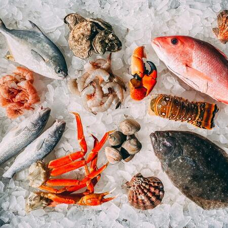 Seafood scissors