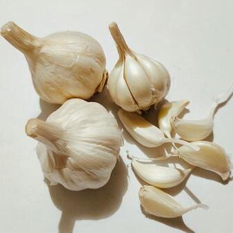 Garlic keeper