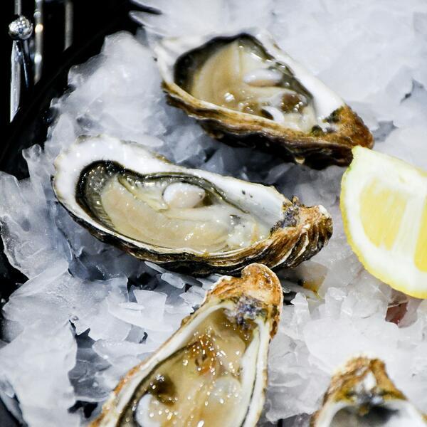 Oyster knife